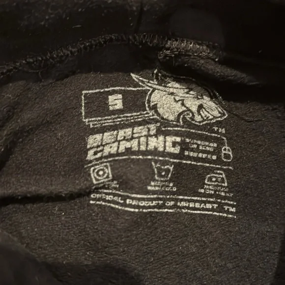 Mr Beast - Picture 3 of 3